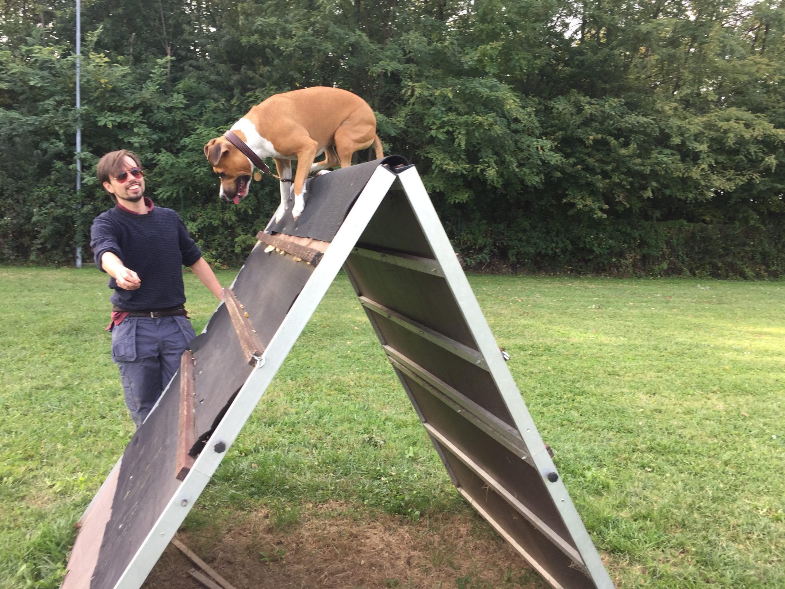 addestratori Thunder Dog