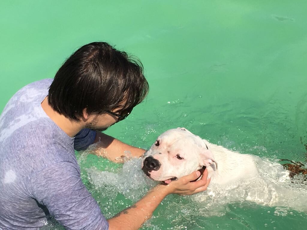 thunder dog torino
