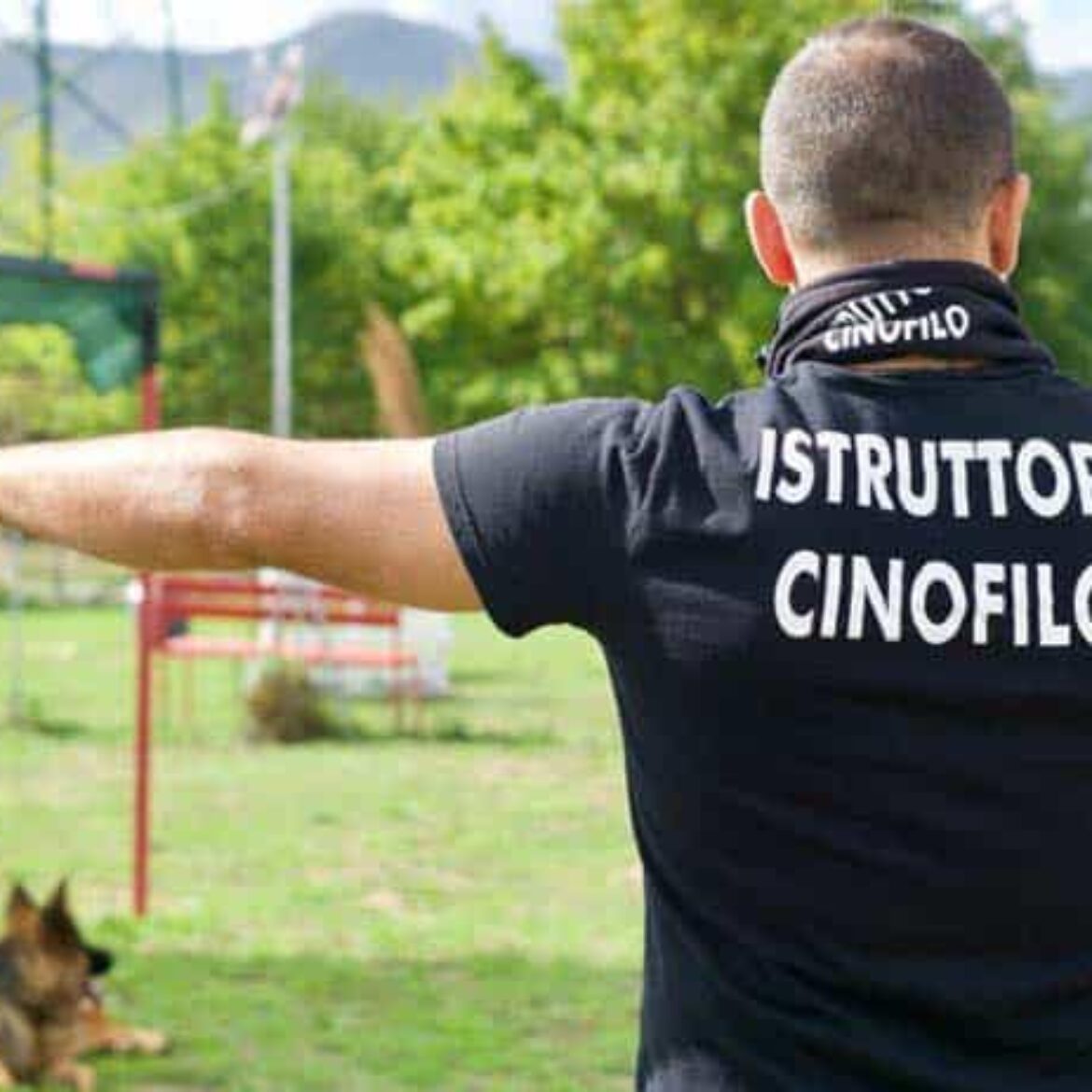 COME DIVENTARE ADDESTRATORE