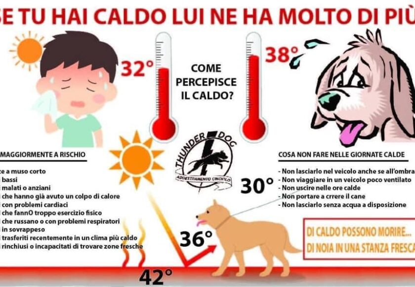 ATTENZIONE AL CALDO!