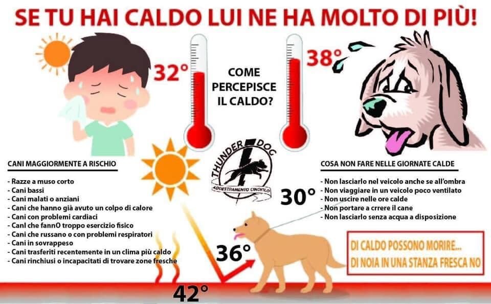 ATTENZIONE AL CALDO!