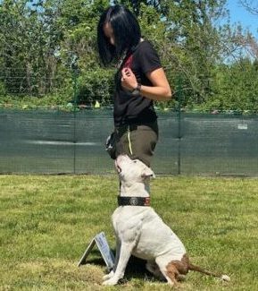Corso Rally Obedience Torino
