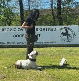 Corso Rally Obedience Torino